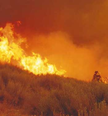 Weed Abatement Fire